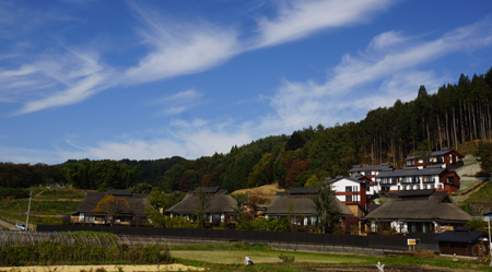 DSC05288c.jpg
