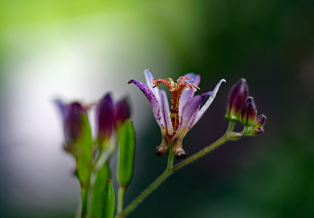 DSC05302c.jpg