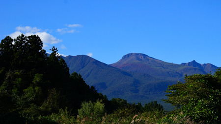 DSC05310c.jpg