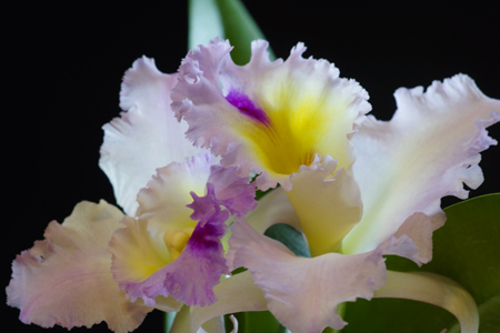 DSC05338c.jpg