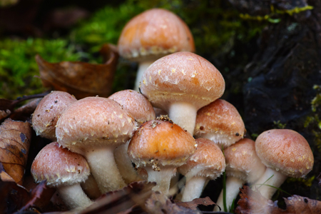 DSC05372c.jpg