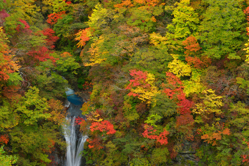 DSC05518c.jpg