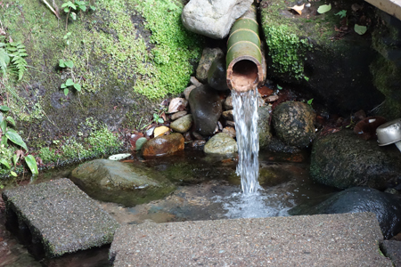 DSC05600c.jpg