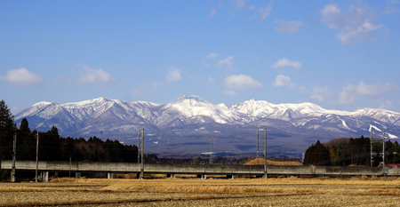 DSC05631wc.jpg