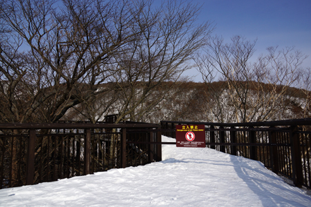 DSC05641c.jpg