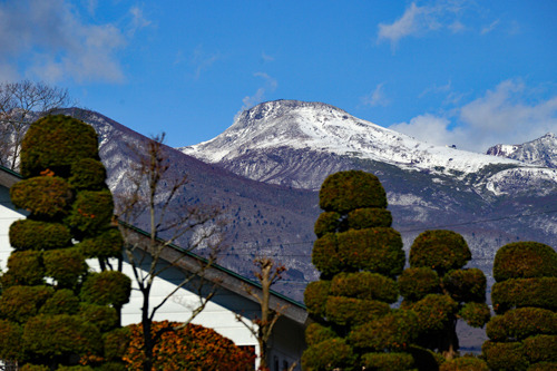 DSC06257c.jpg