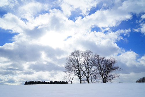 DSC06306c.jpg