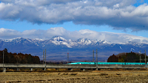 DSC06534c.jpg