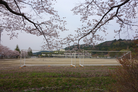 DSC06579c.jpg