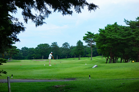 DSC06746c.jpg