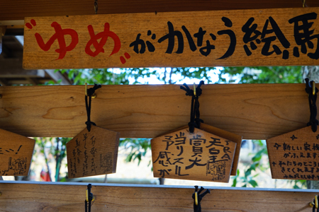 DSC06930c.jpg