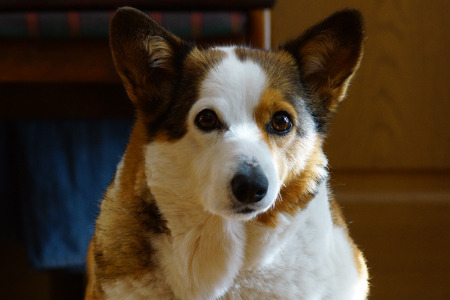 DSC06951c.jpg