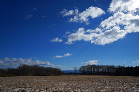 DSC06978c.jpg