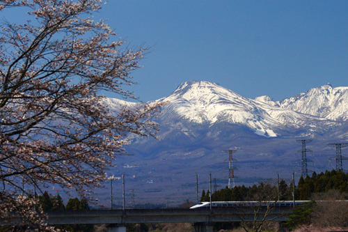 DSC06995ac.jpg