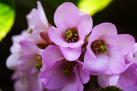 DSC07203c.jpg