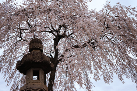 DSC07221c.jpg