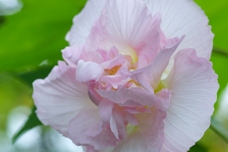 DSC07881c.jpg