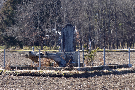 DSC08012c.jpg