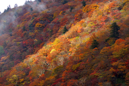 DSC08036c.jpg