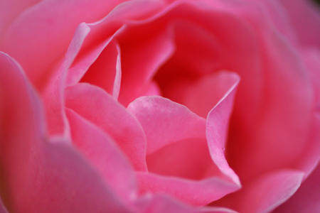 DSC08057c.jpg