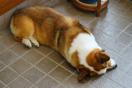 DSC08115c.jpg