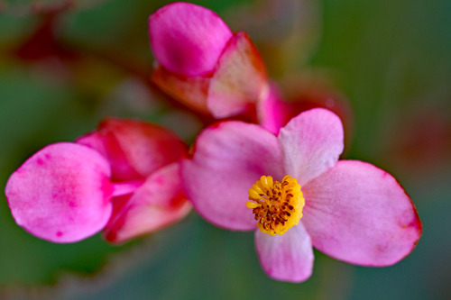 DSC08124c.jpg