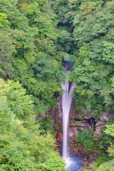 DSC08136c.jpg