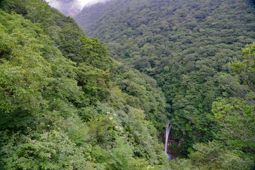 DSC08139c.jpg