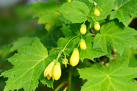 DSC08216c.jpg