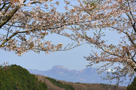 DSC08564c.jpg