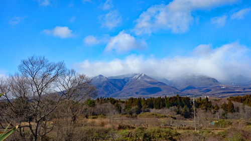 DSC08567c.jpg