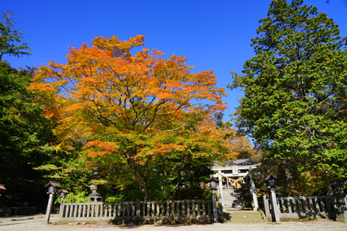 DSC08781c.jpg
