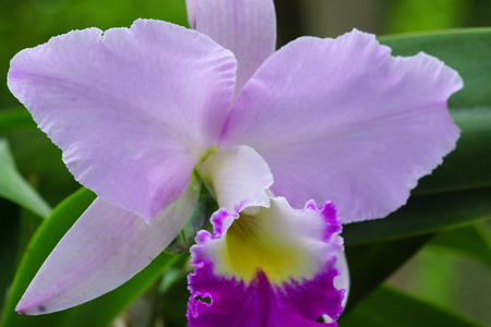 DSC08939c.jpg