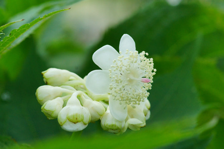 DSC08952c.jpg