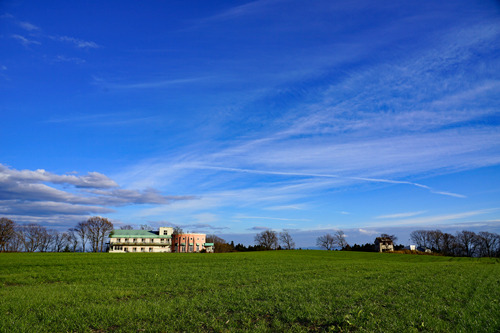 DSC09065c.jpg