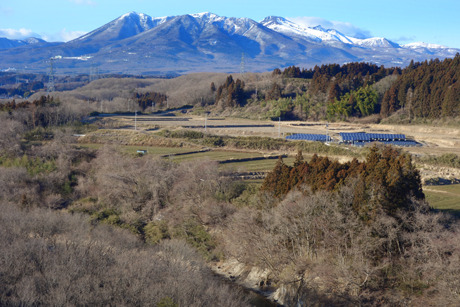 DSC09134c.jpg