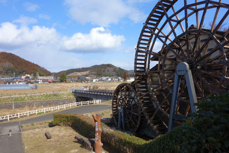 DSC09140c.jpg