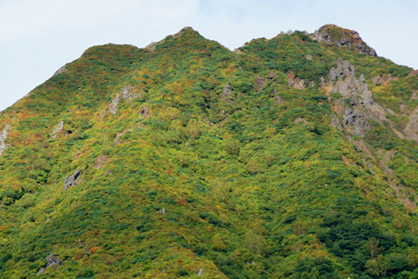 DSC09161c.jpg