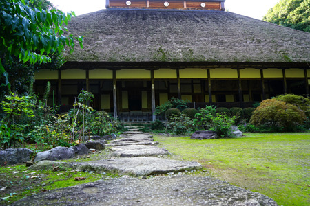 DSC09212c.jpg
