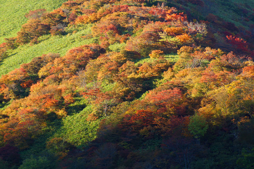 DSC09215c.jpg