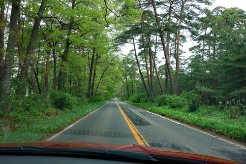 DSC09420c.jpg