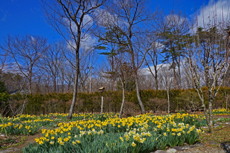 DSC09443c.jpg