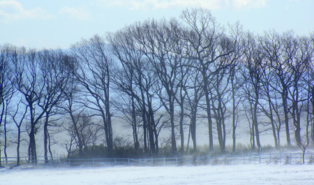 DSC09554ac.jpg