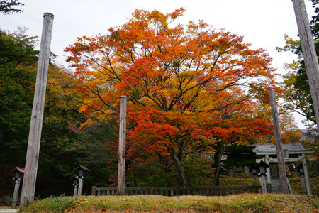 DSC09597c.jpg