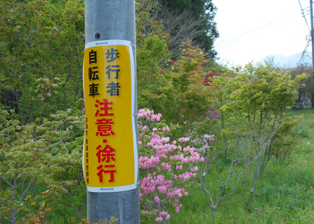 DSC09725c.jpg