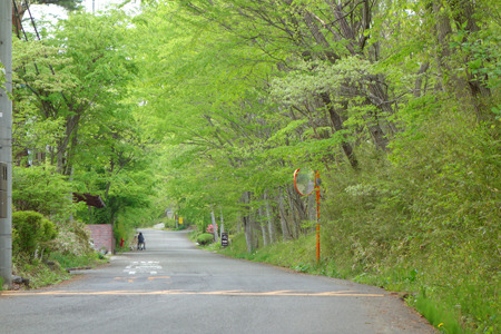 DSC09905c.jpg