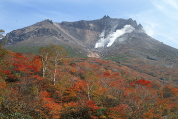 PICT0072c.jpg