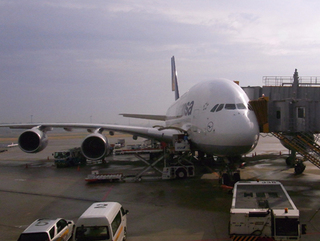 R0011108_edited-1.jpg